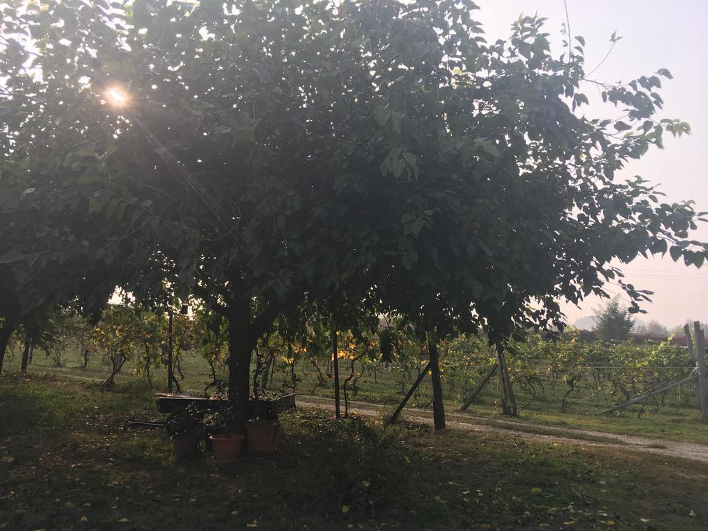 Le Magnolie Agriturismo Verolanuova المظهر الخارجي الصورة