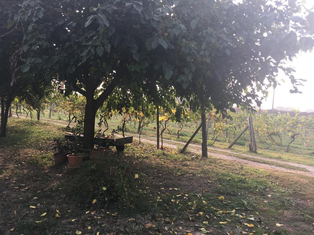 Le Magnolie Agriturismo Verolanuova المظهر الخارجي الصورة
