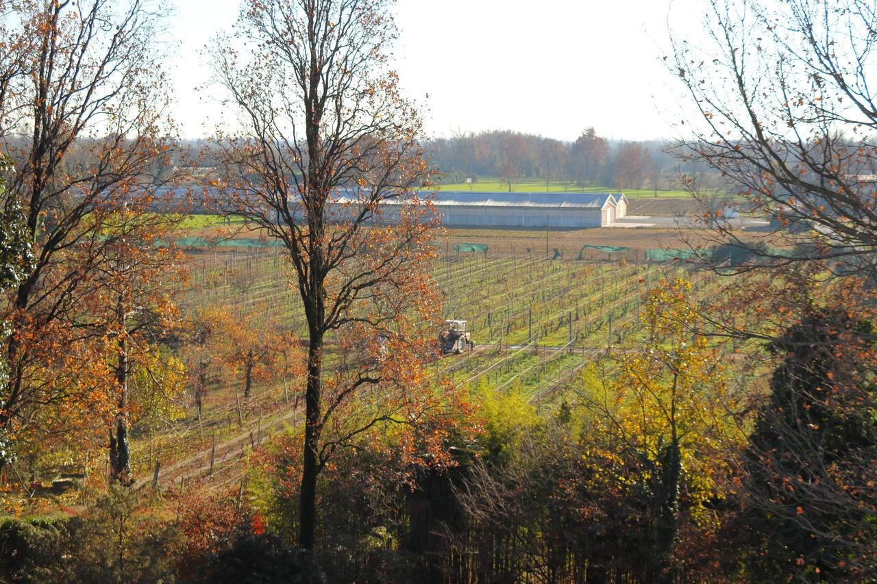 Le Magnolie Agriturismo Verolanuova المظهر الخارجي الصورة